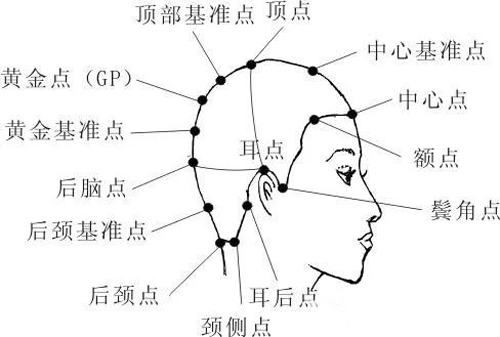 2023年初學(xué)者剪發(fā)基本手法