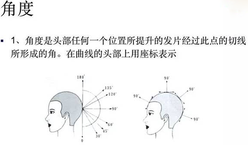 2023年初學(xué)者剪發(fā)基本手法